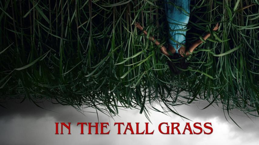 مشاهدة فيلم In the Tall Grass (2019) مترجم