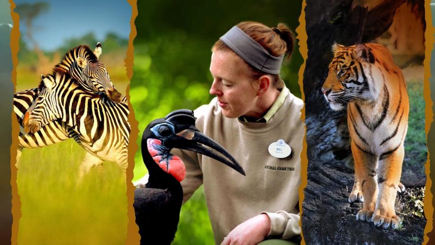 مسلسل Magic of Disney's Animal Kingdom الموسم 2 الحلقة 1 مترجمة