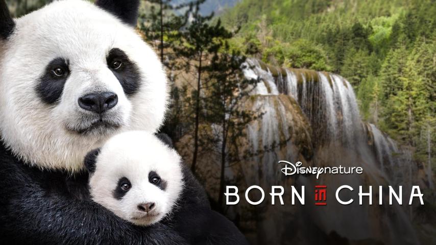 مشاهدة فيلم Born in China (2016) مترجم