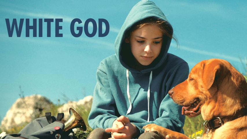 مشاهدة فيلم White God 2014 مترجم