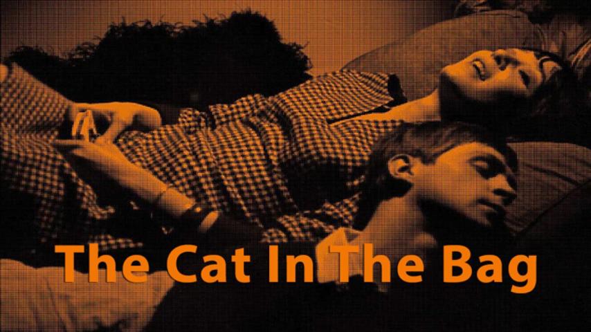 مشاهدة فيلم The Cat in the Bag (1964) مترجم