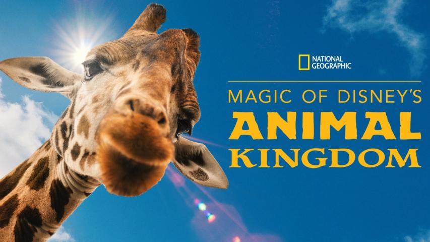 مسلسل Magic of Disney's Animal Kingdom الموسم 1 الحلقة 1 مترجمة