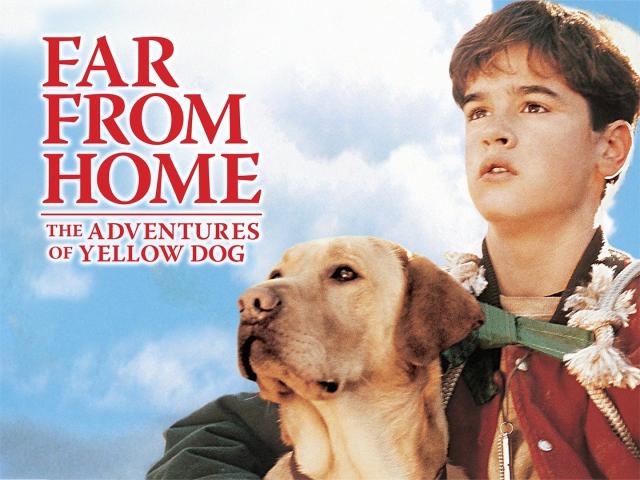 مشاهدة فيلم Far from Home: The Adventures of Yellow Dog (1995) مترجم