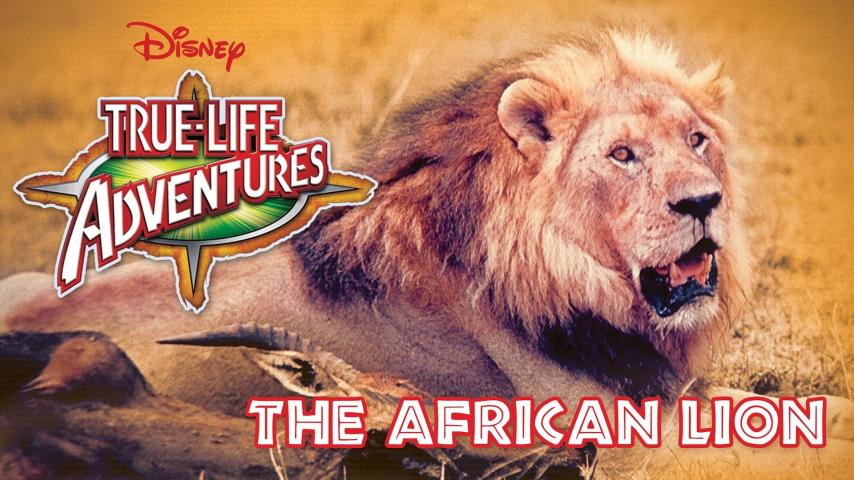 مشاهدة فيلم The African Lion (1955) مترجم