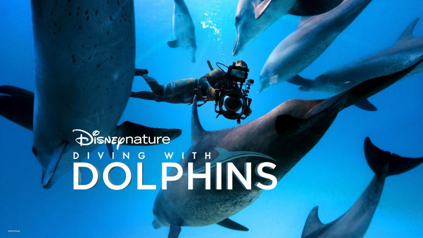 مشاهدة فيلم Diving With Dolphins (2020) مترجم