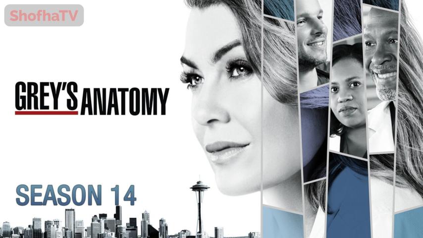 مسلسل Grey's Anatomy الموسم 14 الحلقة 1 الأولى مترجمة