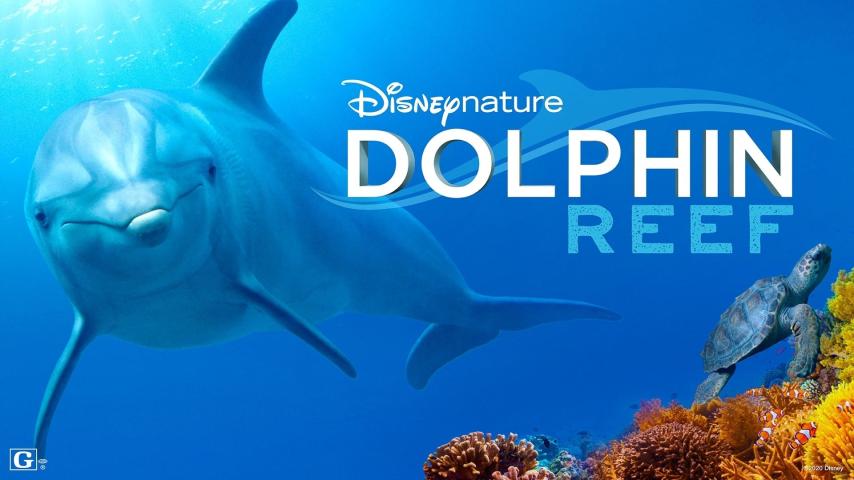 مشاهدة فيلم Dolphin Reef (2020) مترجم