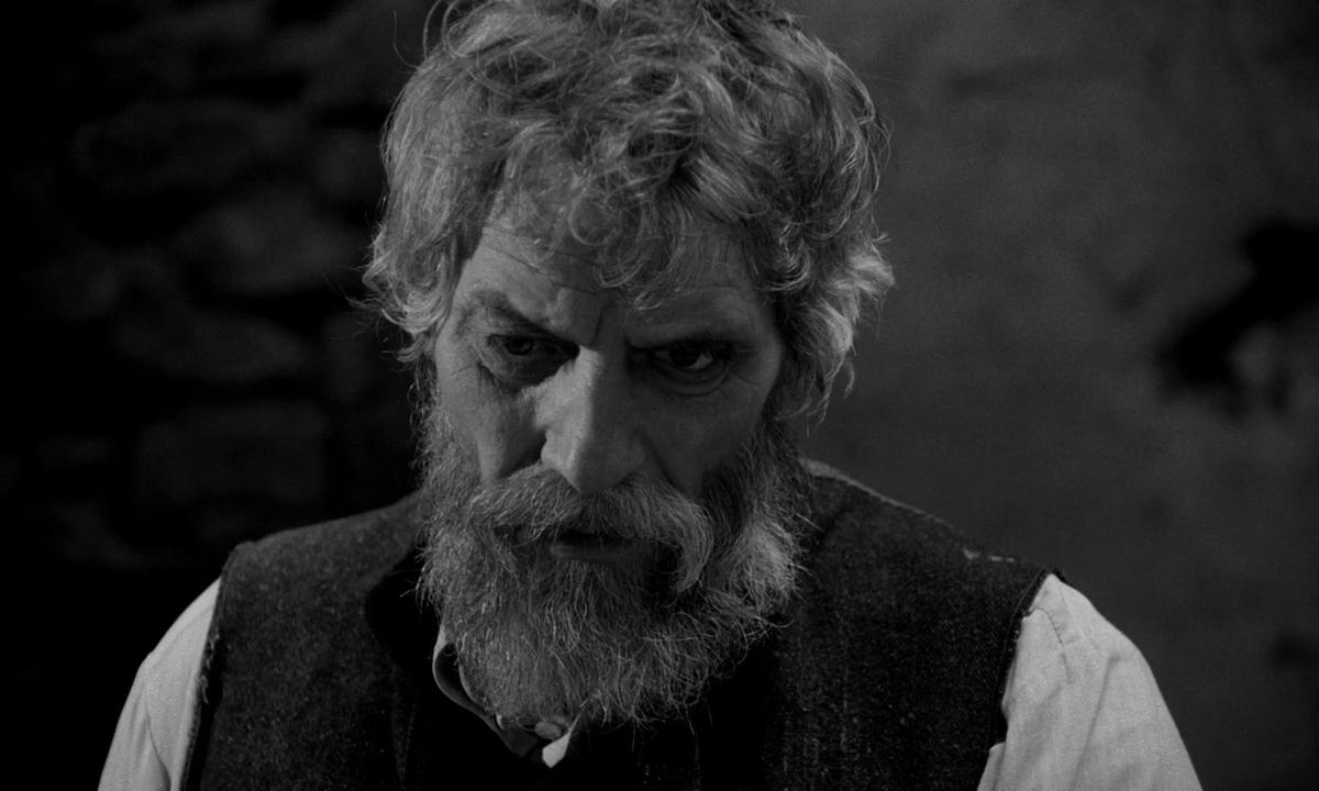 مشاهدة فيلم The Turin Horse (2011) مترجم