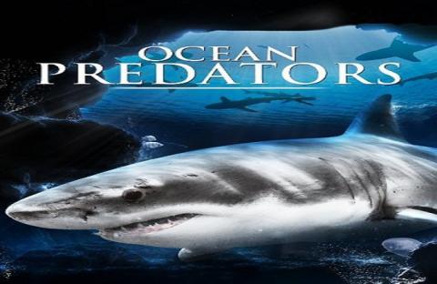 مشاهدة فيلم Ocean Predators (2013) مترجم
