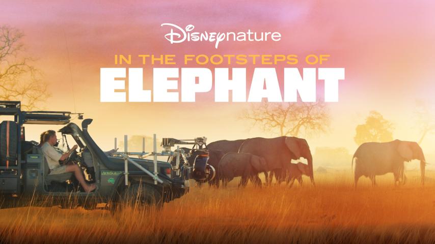 مشاهدة فيلم In the Footsteps of Elephant (2020) مترجم