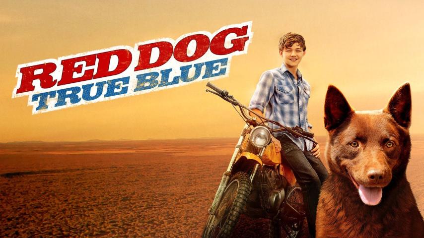 مشاهدة فيلم Red Dog- True Blue (2016) مترجم