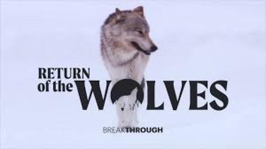 مشاهدة فيلم Breakthrough Return of the Wolves (2020) مترجم