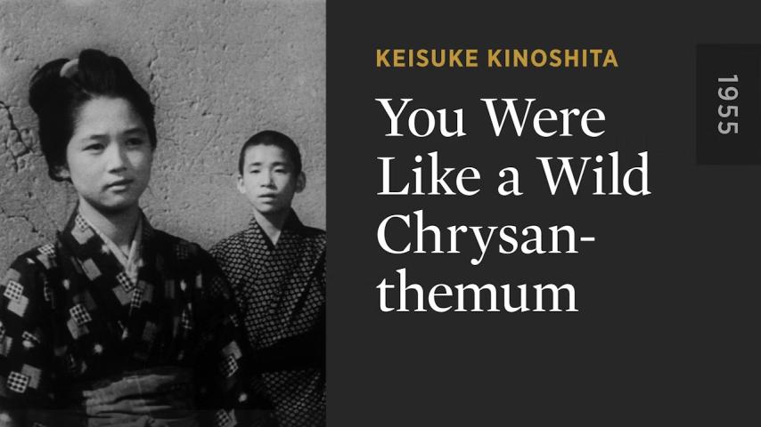 مشاهدة فيلم She Was Like a Wild Chrysanthemum (1955) مترجم