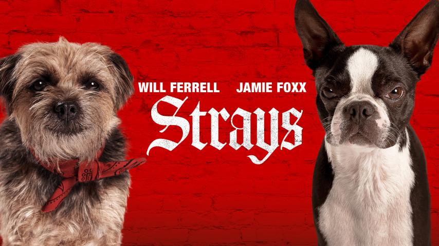 مشاهدة فيلم Strays (2023) مترجم