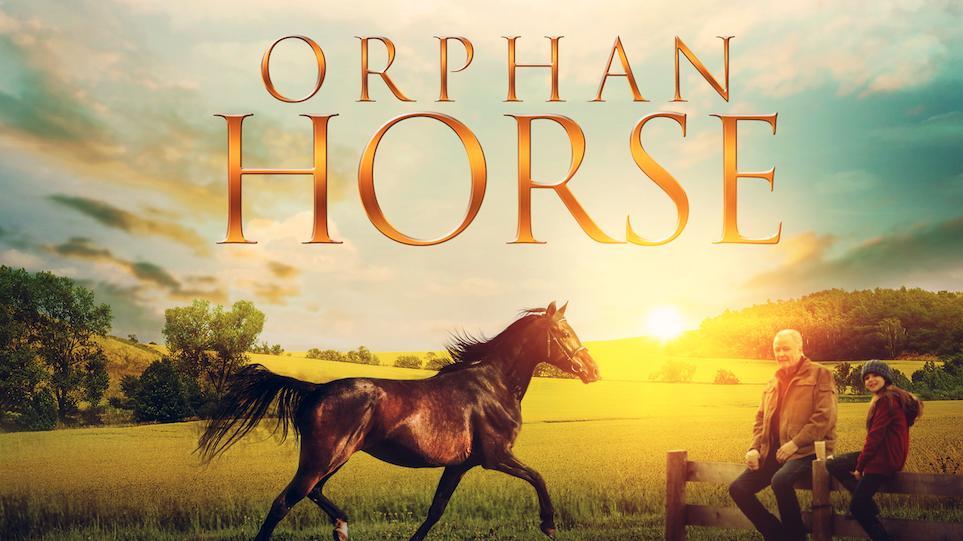 مشاهدة فيلم Orphan Horse (2018) مترجم