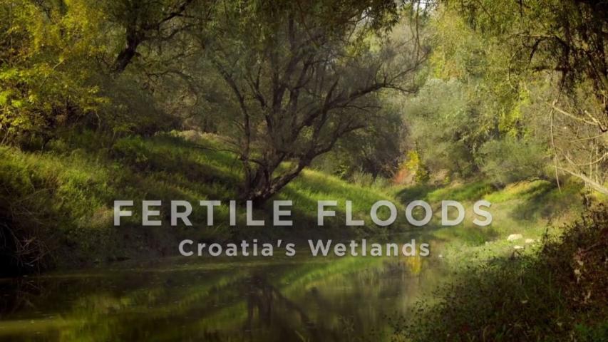 مشاهدة فيلم Fertile Floods: Croatia's Wetlands (2018) مترجم