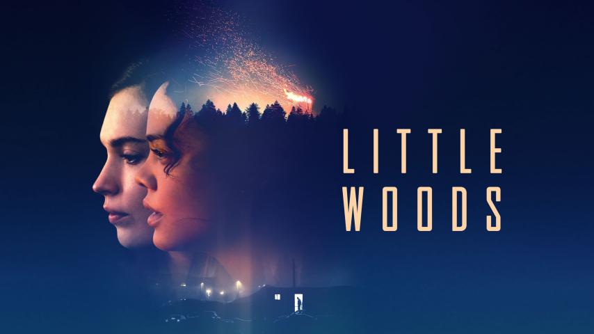 مشاهدة فيلم Little Woods (2018) مترجم