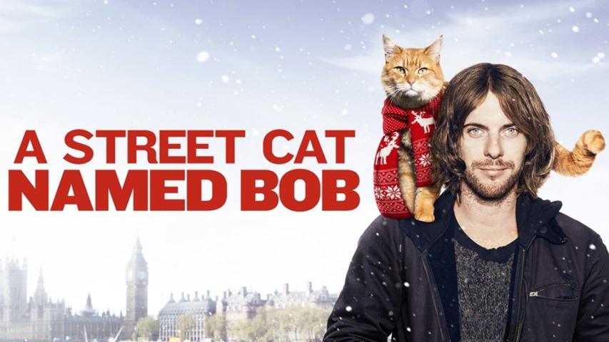 مشاهدة فيلم A Street Cat Named Bob (2016) مترجم