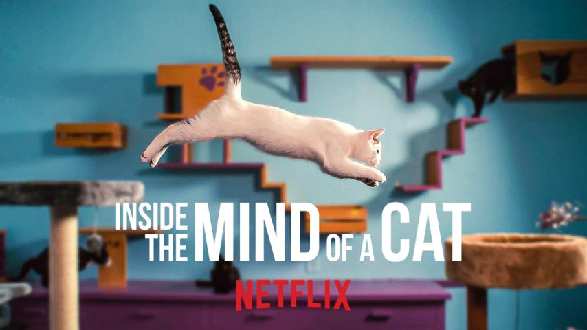 مشاهدة فيلم Inside the Mind of a Cat (2022) مترجم