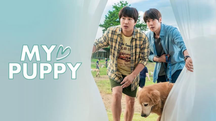 مشاهدة فيلم My Heart Puppy (2023) مترجم