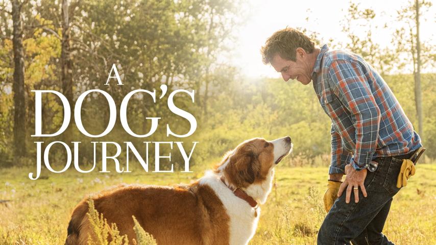 مشاهدة فيلم A Dog's Journey (2019) مترجم