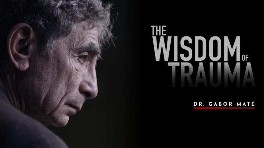 مشاهدة فيلم The Wisdom of Trauma (2021) مترجم