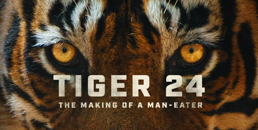 مشاهدة فيلم Tiger 24 (2022) مترجم