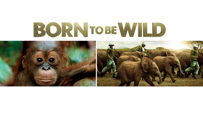 مشاهدة فيلم Born to Be Wild (2011) مترجم