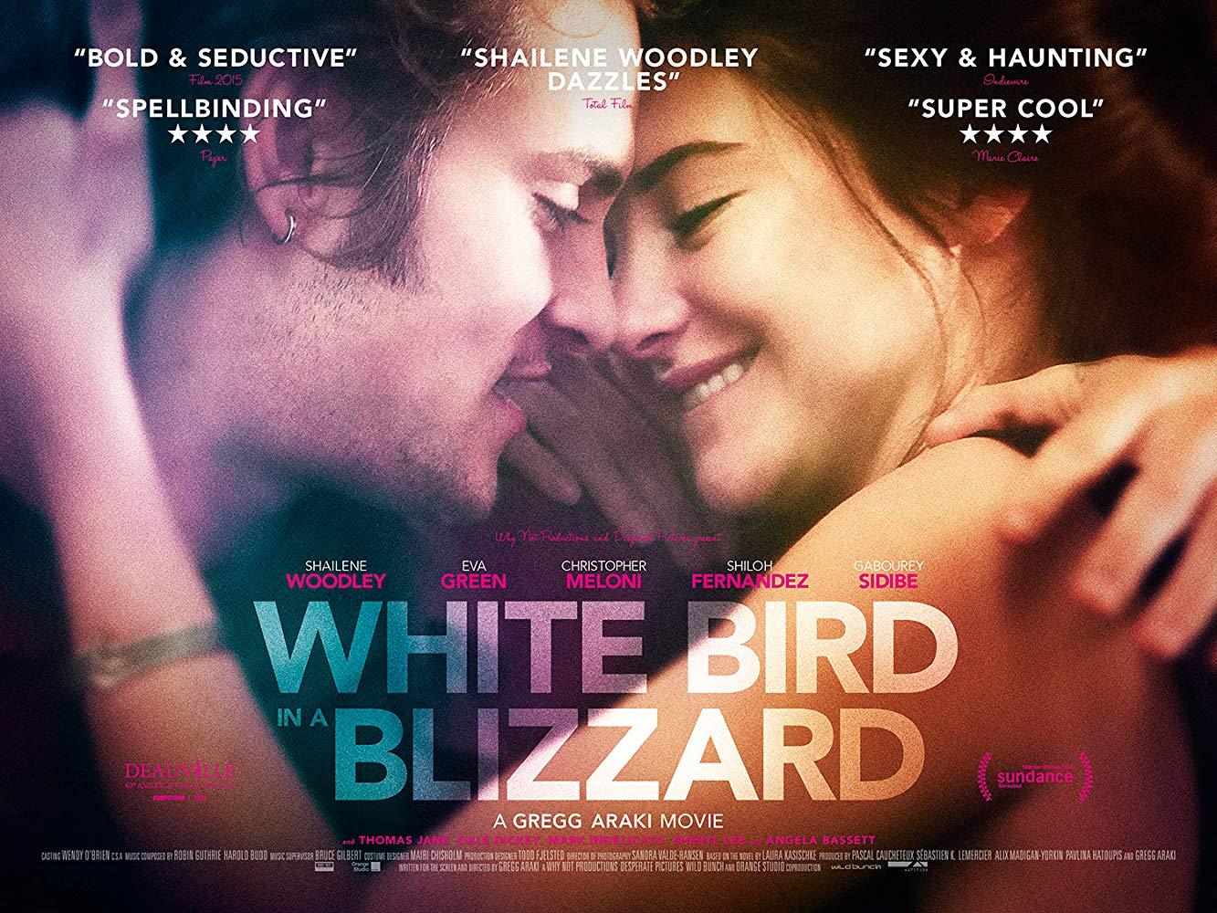 مشاهدة فيلم White Bird in a Blizzard (2014) مترجم