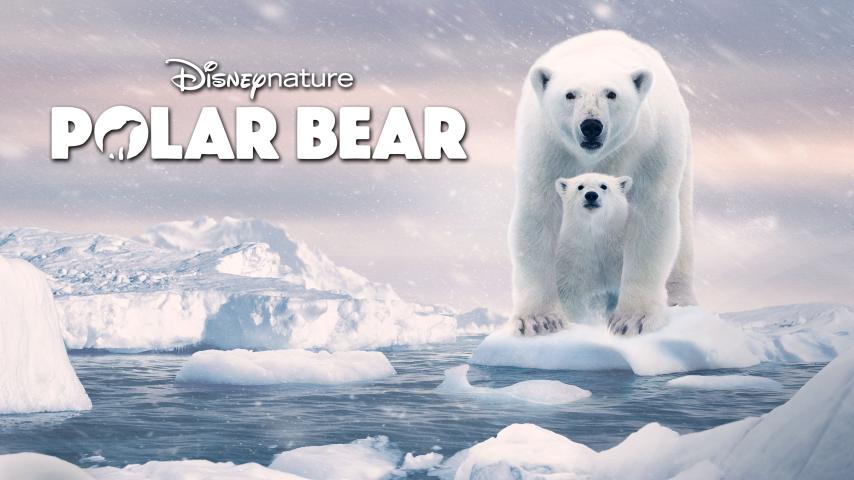 مشاهدة فيلم Polar Bear (2022) مترجم
